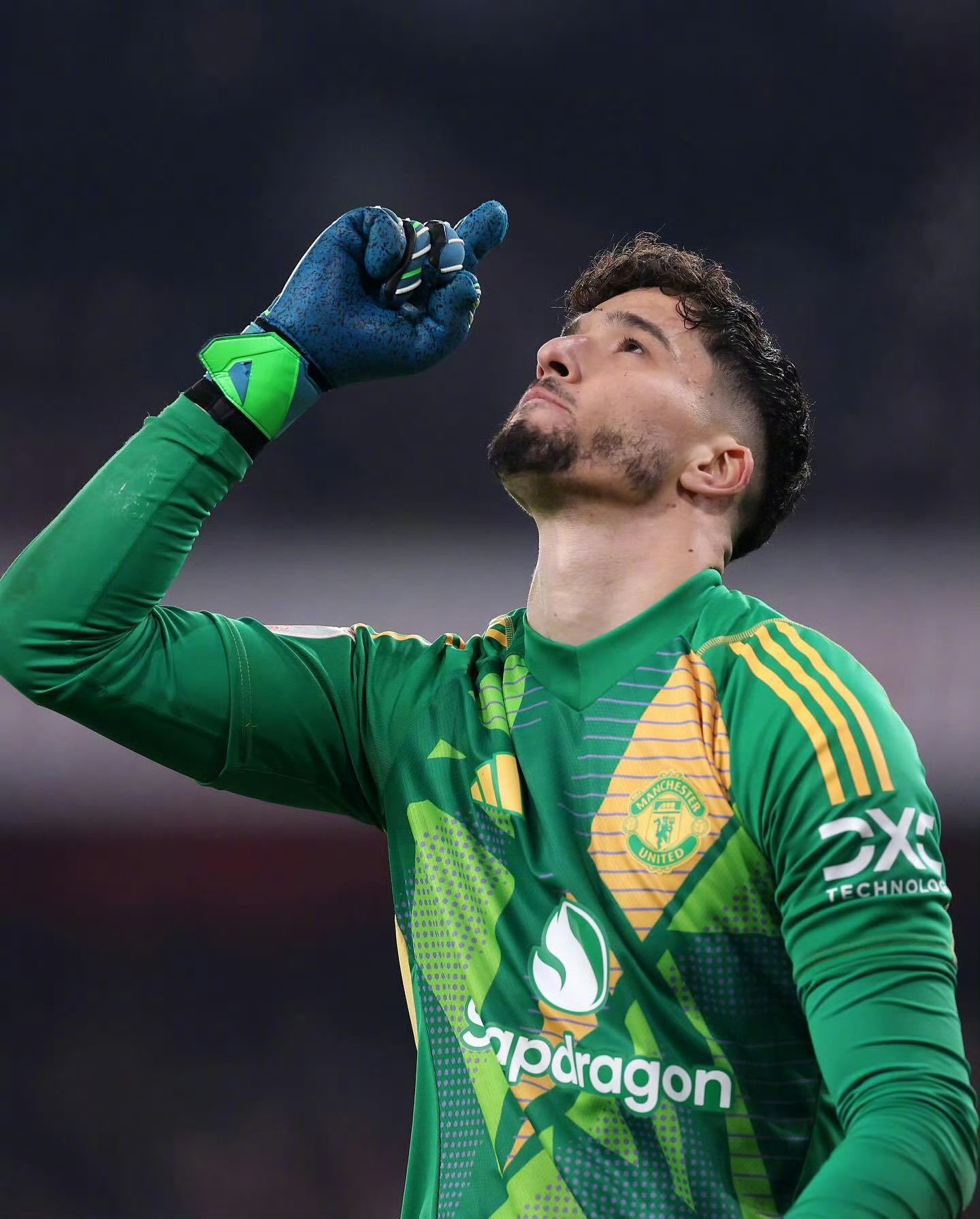 今夜荷甲焦点战，阿森纳伤情更新，话题不断，资深球员宣示担当的简单介绍